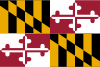 Maryland Bandierina